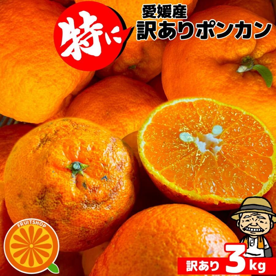 愛媛県産 特に訳ありぽんかん 3kg 不揃い【送料無料】愛媛県産 椪柑 ポンカンオレンジ デコポンの親品種 フルーツ（Yahoo!・フルーツショップサニー）