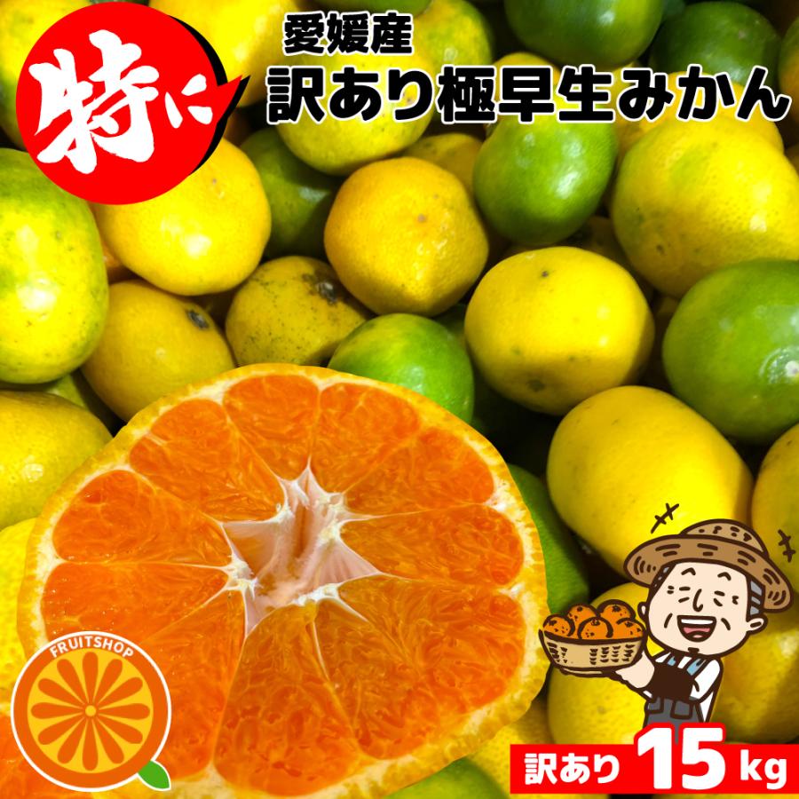愛媛県産　うまい！　早生みかん　みかん　柑橘　15kg 特に訳ありみかん15kg(+約0.5kg)【送料無料】不揃い 傷 なつみ 極早生
