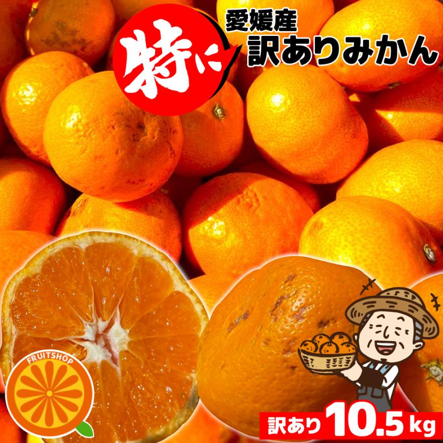特に訳ありみかん15kg(+約0.5kg)【送料無料】不揃い 傷 なつみ 極早生
