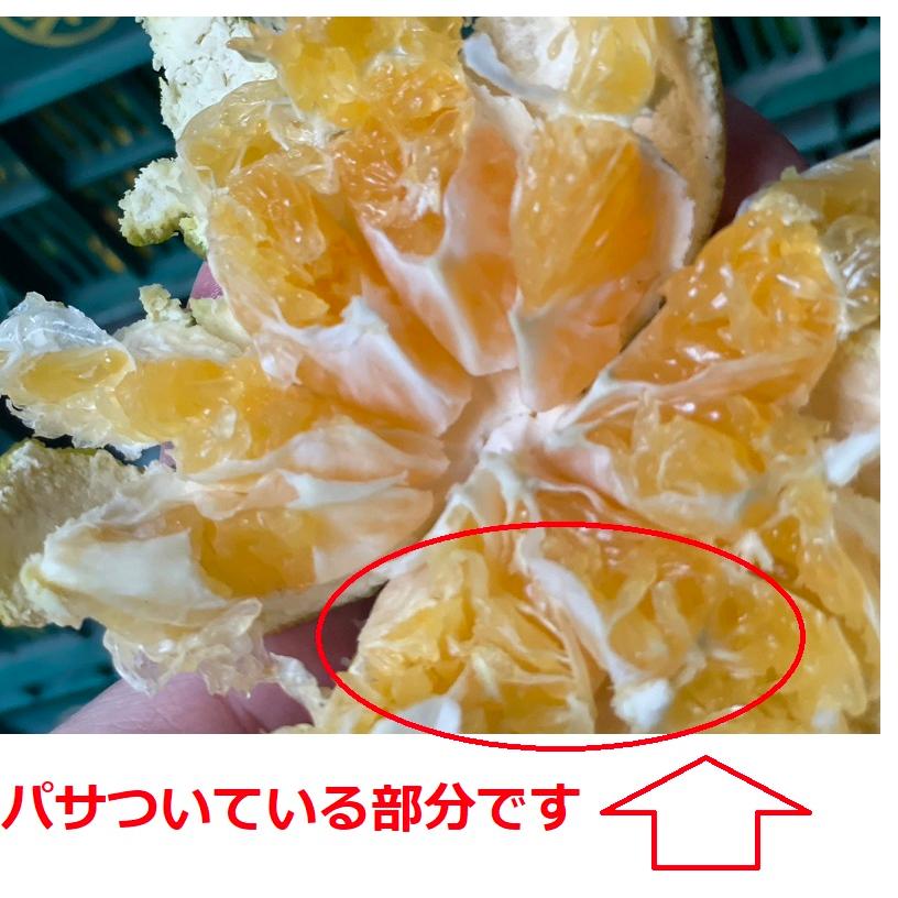 特に訳ありみかん15kg(+約0.5kg)【送料無料】不揃い 傷 なつみ 極早生