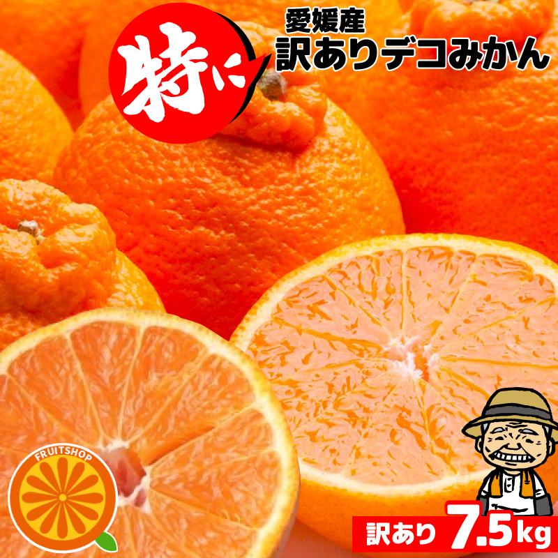 5営業日以内速攻出荷♪愛媛産 特に訳ありデコみかん 7kg(+約0.5kg多め)送料無料(一部地域除く) デコポン でこぽん 不揃い 傷 汚れ有 フルーツ 果物 くだ（Yahoo!・フルーツショップサニー）