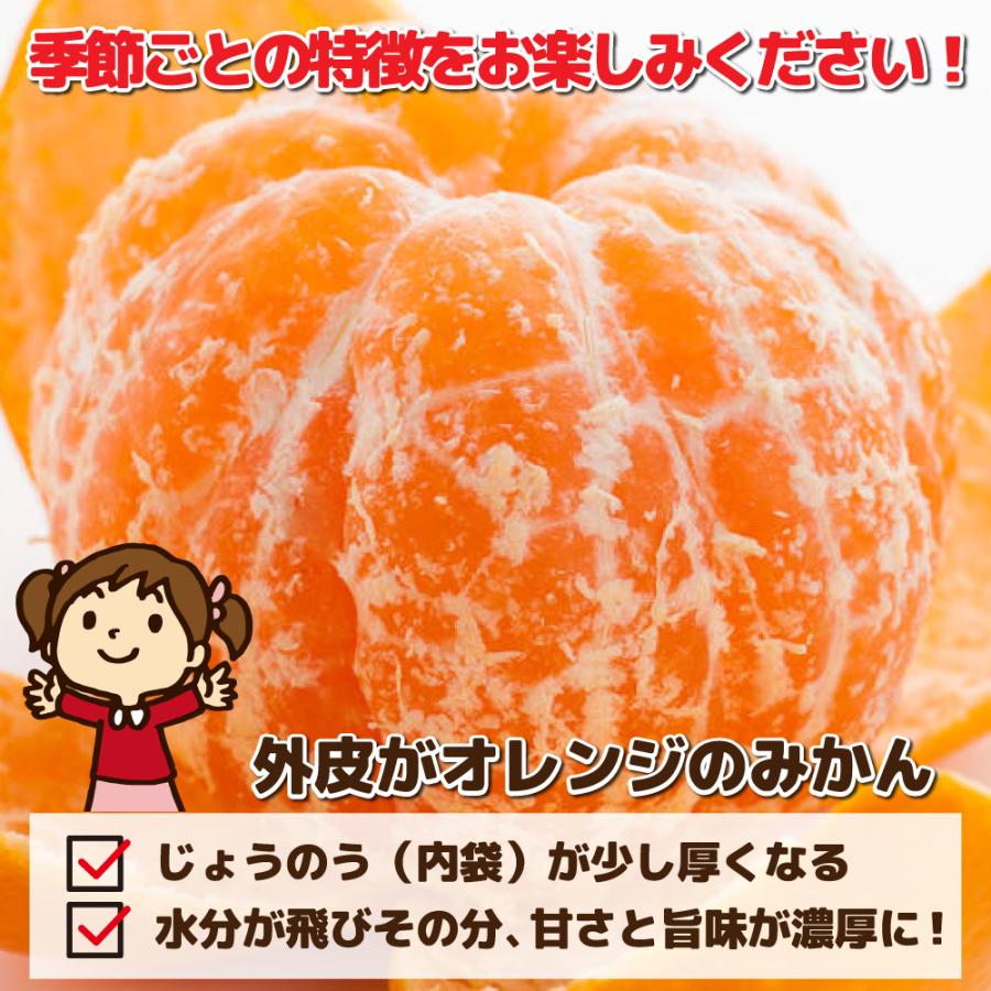 只今出荷中！特に訳ありみかん3kg【送料無料】 傷 なつみ 極早生 愛媛