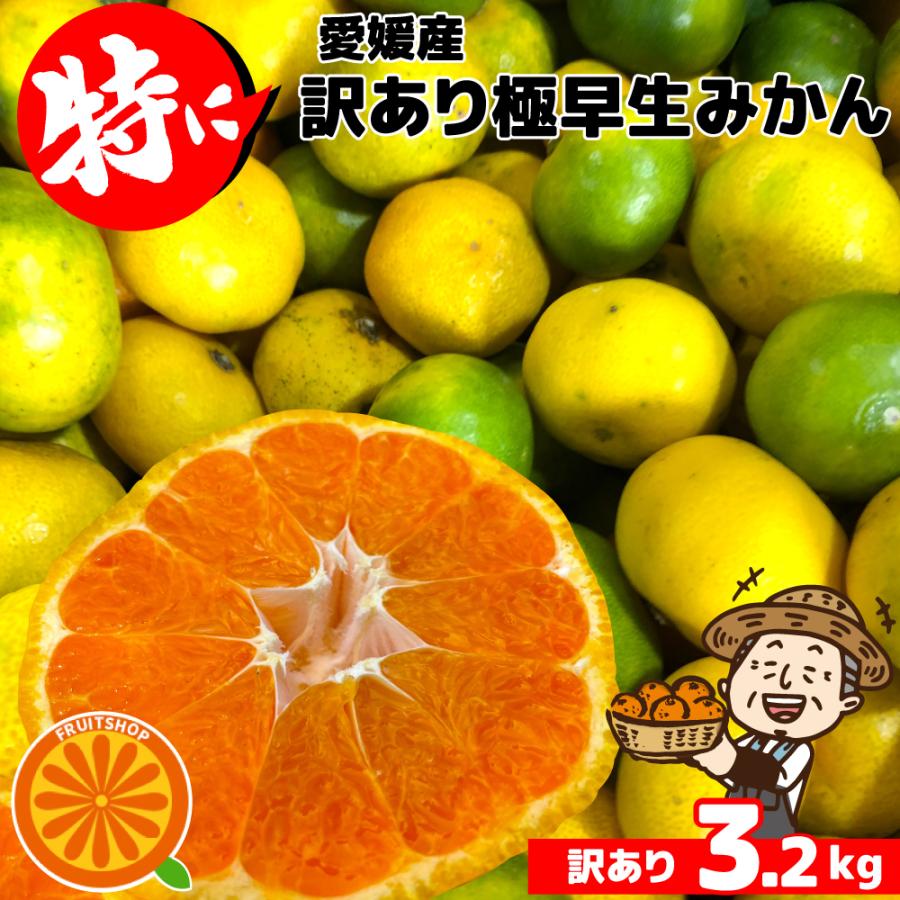 只今出荷中！特に訳ありみかん3kg【送料無料】 傷 なつみ 極早生 愛媛