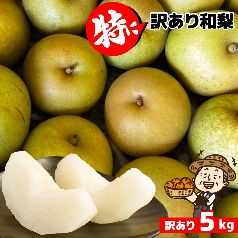 特に訳あり和梨5kg 箱込み 送料無料不ぞろい 不選別 なし 和梨 フルーツ 果物 くだもの わけあり 食品