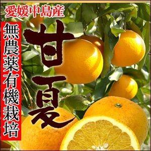 中島産 有機無農薬栽培 甘夏 5kg【送料無料】｜fruit-sunny