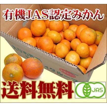 有機JAS認定 無農薬有機栽培みかん 5kg 送料無料 フルーツ 果物