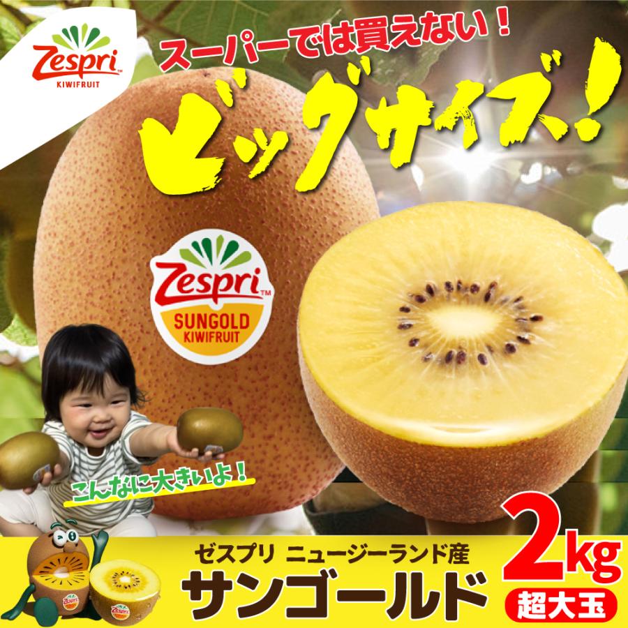 ゼスプリ 特大サンゴールドキウイフルーツ秀品 ニュージーランド産 送料無料 きうい コロナ Z Go Kiwi 2kg フルーツショップサニー 通販 Yahoo ショッピング