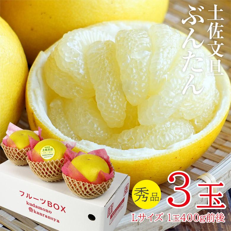 送料無料 土佐文旦 ブンタン 文旦 秀品 3玉 Lサイズ 1玉 約400g前後