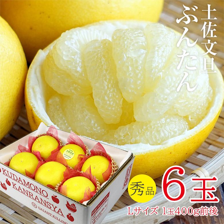 送料無料 土佐文旦 ブンタン 文旦 秀品 6玉 Lサイズ 約400g前後 高知県