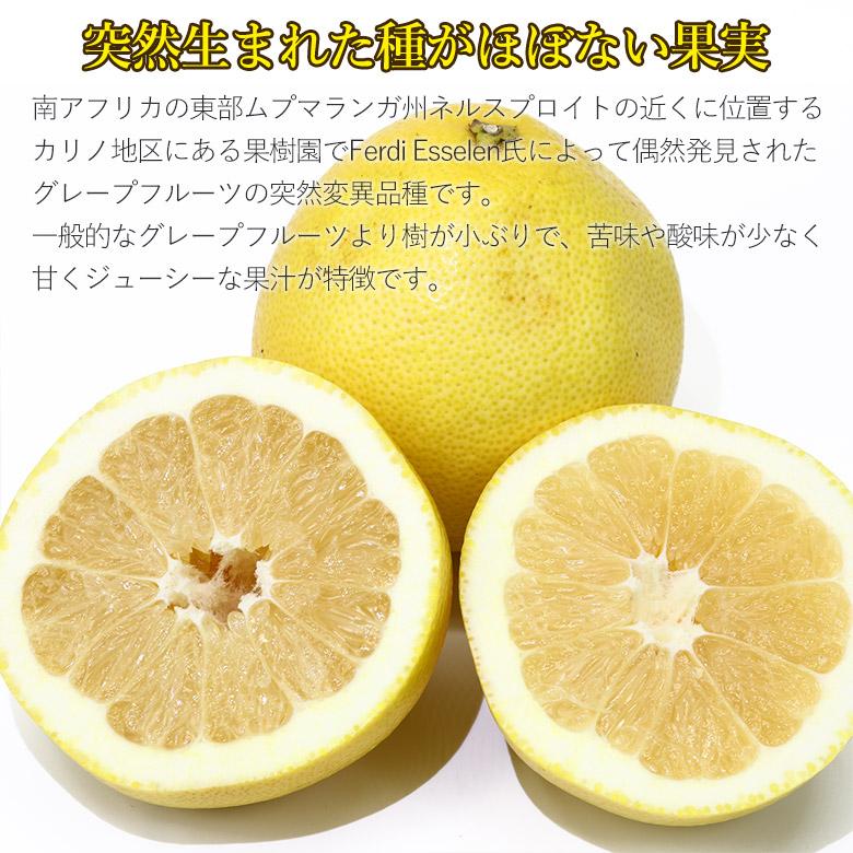 南アフリカ 産 ジャクソン フルーツ 3玉 約 900g ジャクソンフルーツ