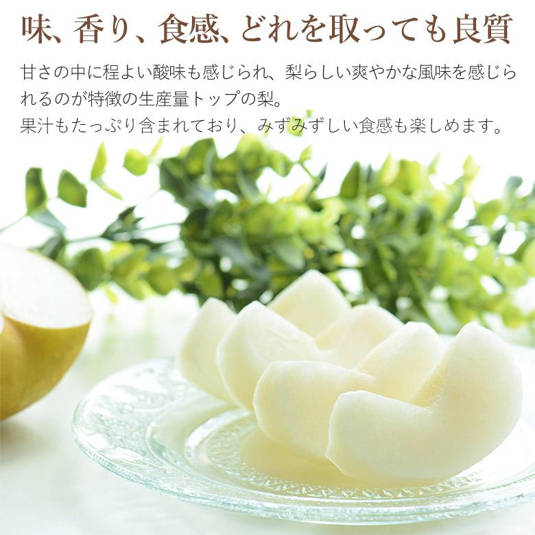 梨　幸水　豊水　詰め合わせ　約12キロ（箱込） 送料無料 幸水梨 豊水梨 1玉 約 300g 8玉 梨 幸水 豊水 予約 佐賀県産
