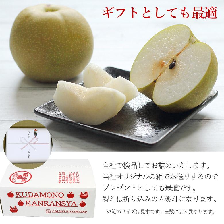 熊本県産】新高梨 にいたか梨 ナシ 家庭用 バラ詰め 訳アリ品