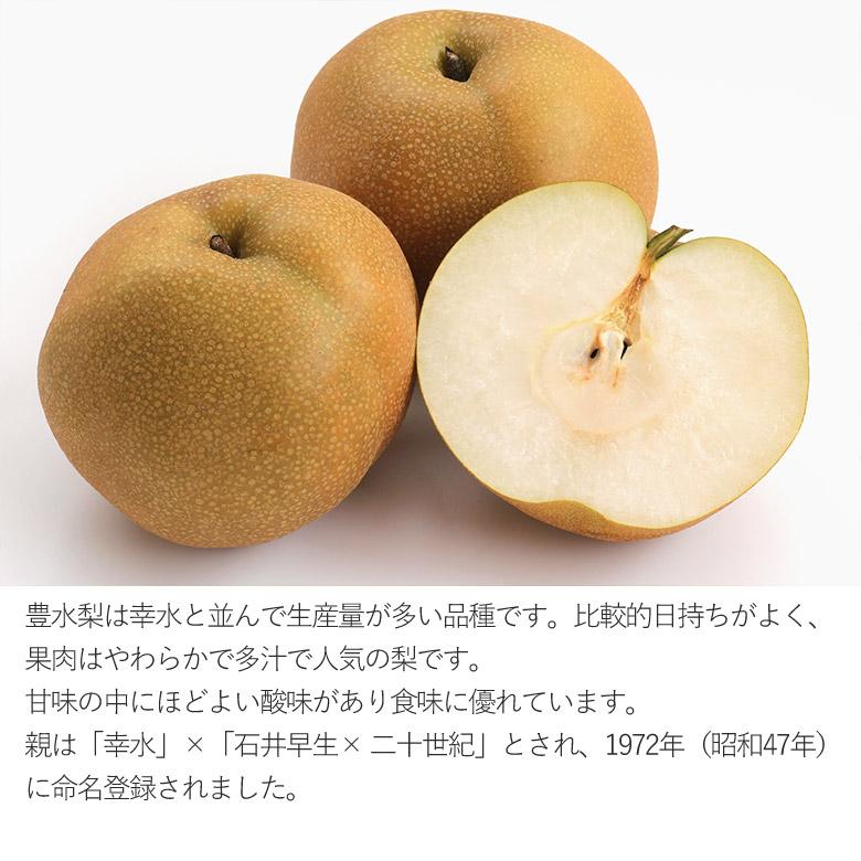 送料無料 幸水梨 豊水梨 1玉 約 300g 8玉 梨 幸水 豊水 予約 佐賀県産 