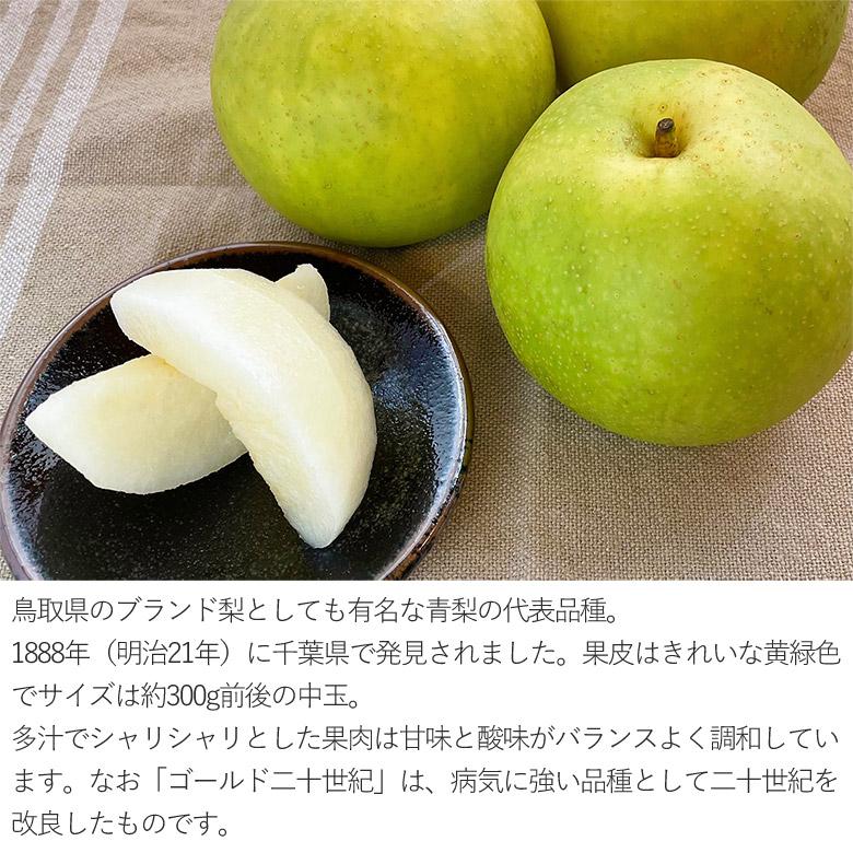 順次ご発送中 送料無料 鳥取県産 地域厳選 二十世紀梨 20世紀梨 1玉 約