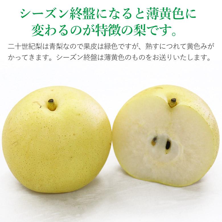 送料無料 鳥取県産 二十世紀梨 1玉 約 300 g 4玉 ご家庭用 鳥取 鳥取県 梨 20世紀梨 なし ナシ 秀品 ご自宅用 果物 くだもの ...