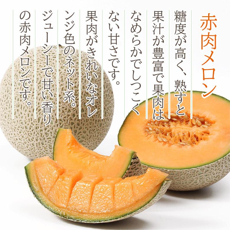 送料無料 赤肉メロン 2玉 800g 1kg 赤肉 地域厳選 メロン マスクメロン レノン ルピアレッド クインシーメロン 夕張メロン ギフト ご自宅用 くだもの観覧車 - 通販 - Yahoo ショッピング