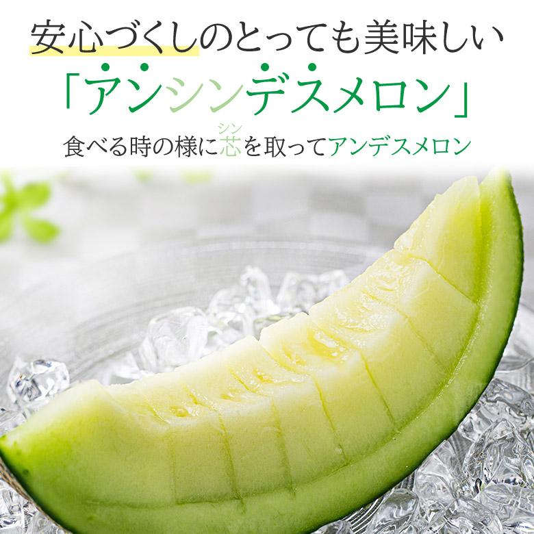 送料無料 アンデスメロン 秀品 1玉 約 800g~1000g アンデス 産地