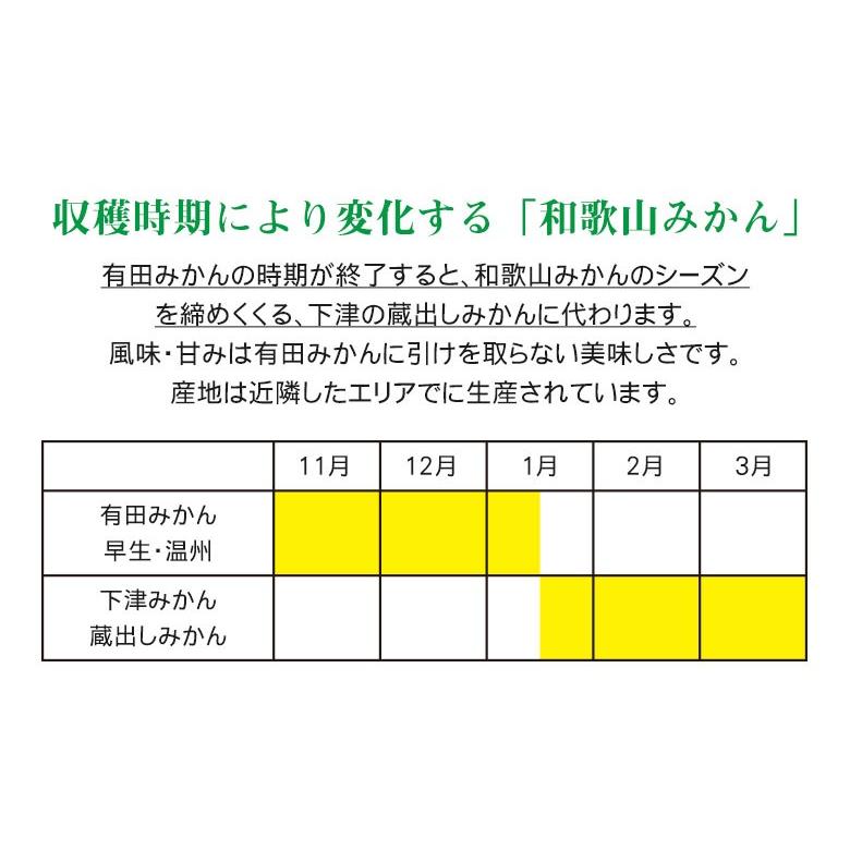 送料無料 有田みかん 下津みかん 和歌山県産  国産 和歌山みかん みかん 温州みかん サイズ おまかせ 約8kg  箱買い ご家庭用 秀品  訳あり｜fruit27｜09