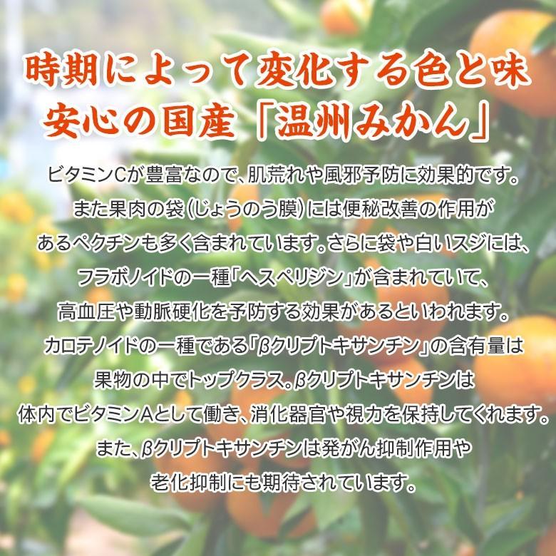 送料無料 有田みかん 下津みかん 和歌山県産  国産 和歌山みかん みかん 温州みかん サイズ おまかせ 4kg  箱買い ご家庭用 秀品  訳あり｜fruit27｜05