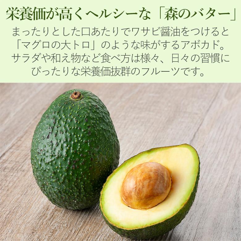 食品 現品⑧紀州南高梅 6.5キロ