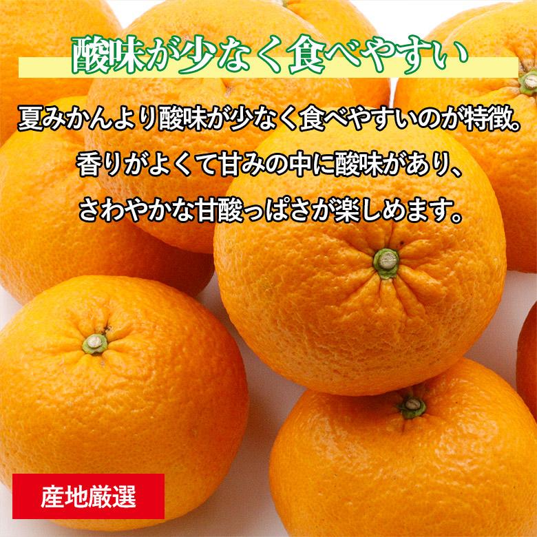 送料無料 産地厳選 紅甘夏 約 8kg サイズお任せ 紅甘 甘夏 べにあまなつ あまなつ 鹿児島 熊本 愛媛 和歌山 みかん 国産 国産みかん ...