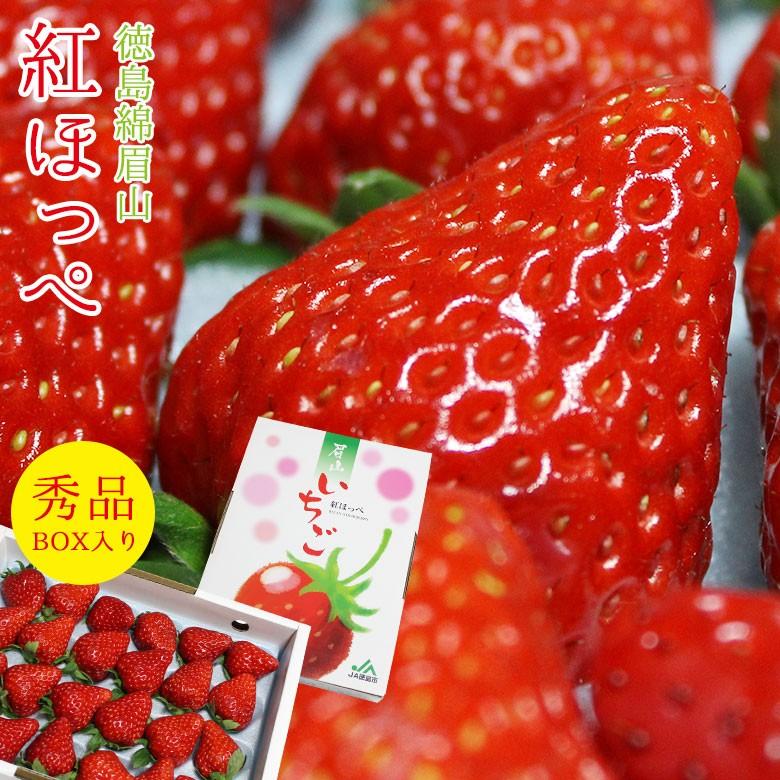 送料無料 徳島 徳島県 眉山 いちご イチゴ 紅ほっぺ べにほっぺ 苺 秀品 特大 大粒 ギフトボックス 箱入り 秀品 徳島産 徳島県産 ご家庭用 Benihoppe Big Box くだもの観覧車 通販 Yahoo ショッピング