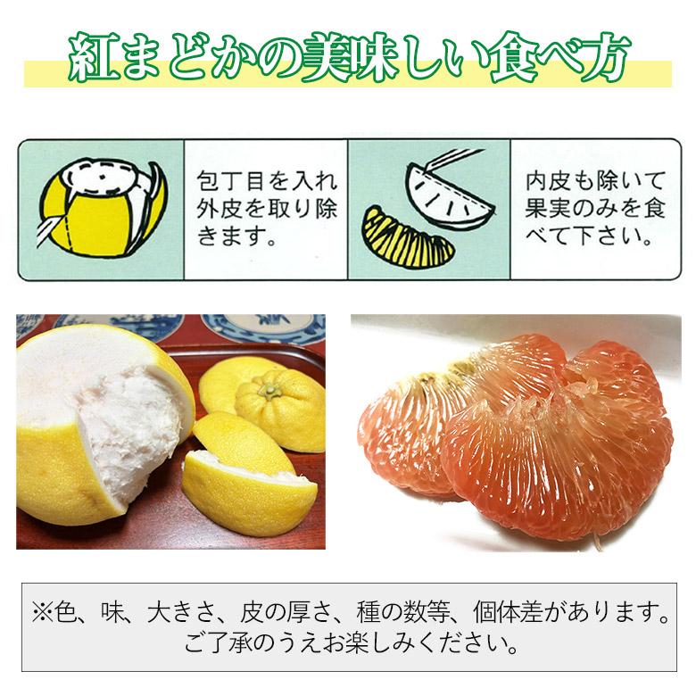 木なり完熟デコポン(不知火)秀品2Lサイズ箱込み10kg 弱 - 果物