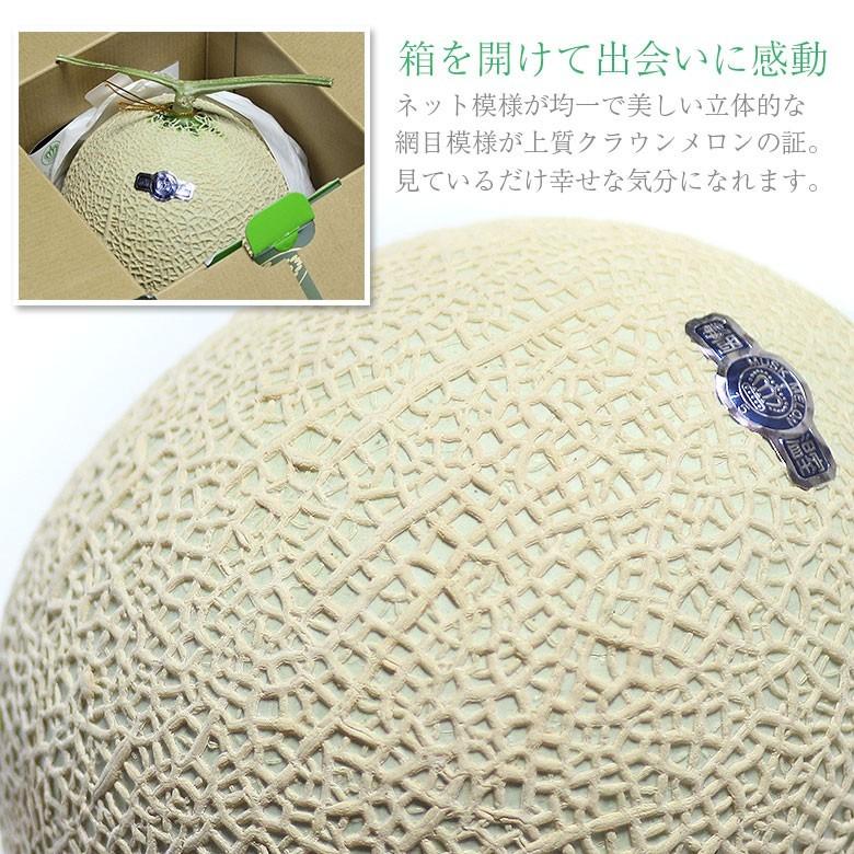日時指定不可 送料無料 ちょっと訳あり A品 B品 静岡県産 クラウンメロン マスクメロン メロン 静岡クラウンメロン 温室メロン 1玉 1.2kg前後 即納