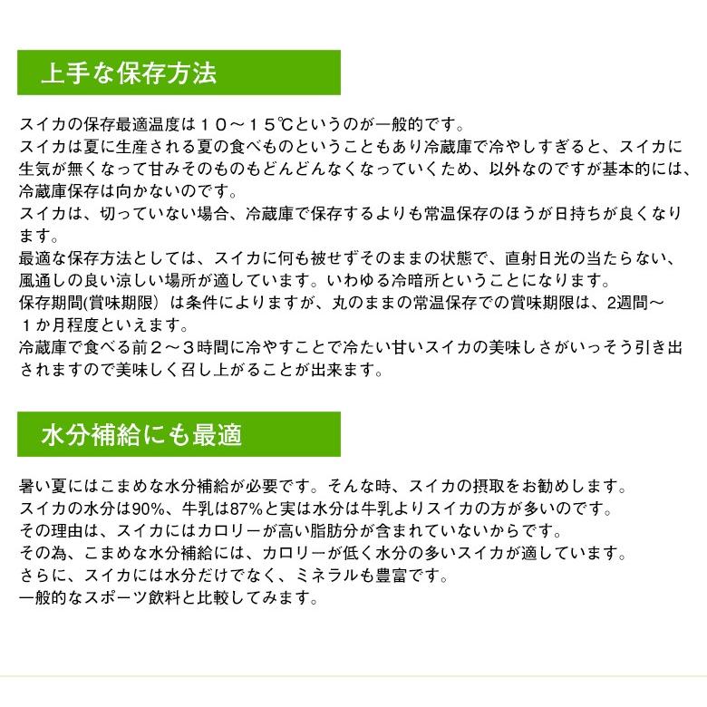 送料無料 鳥取県産 大栄すいか 大栄 すいか L サイズ 12kg 以上 6kg × 2玉 ご家庭用 鳥取県 西瓜 すいか スイカ　大玉 西瓜 ギフト お中元｜fruit27｜06