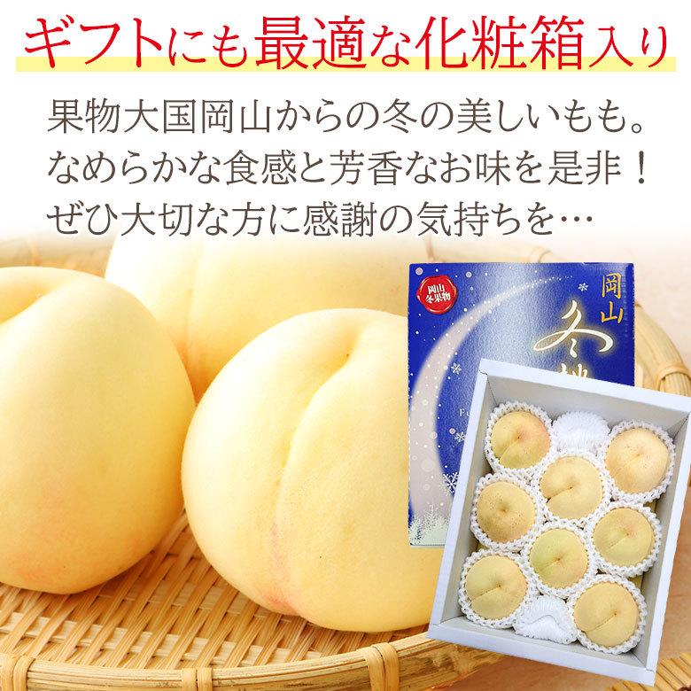 送料無料 秀品 冬桃がたり 岡山 岡山白桃 岡山県産 桃 白桃 5〜9玉