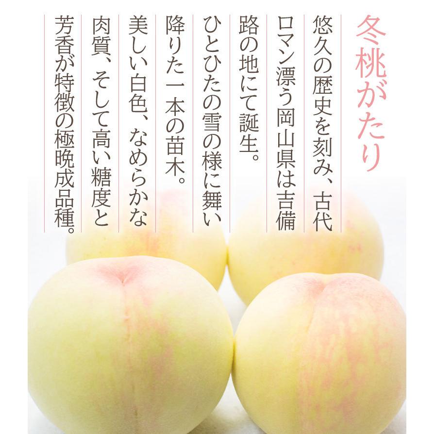 送料無料 秀品 冬桃がたり 岡山 岡山白桃 岡山県産 桃 白桃 5〜9玉