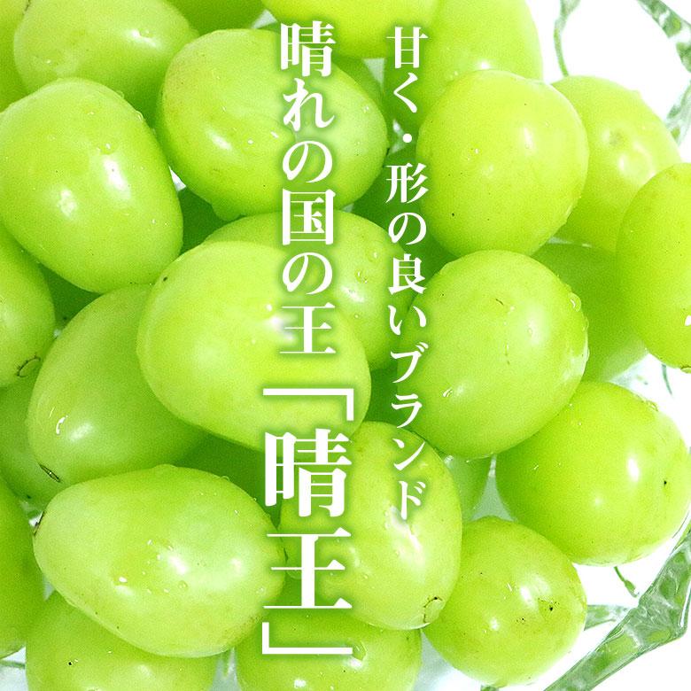 送料無料 シャインマスカット 晴王 岡山県 シャンマスカット 約