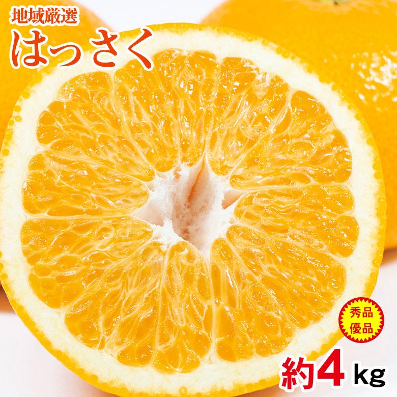 送料無料 地域厳選 みかん はっさく 八朔 サイズ混合 約 4kg 秀品 優品
