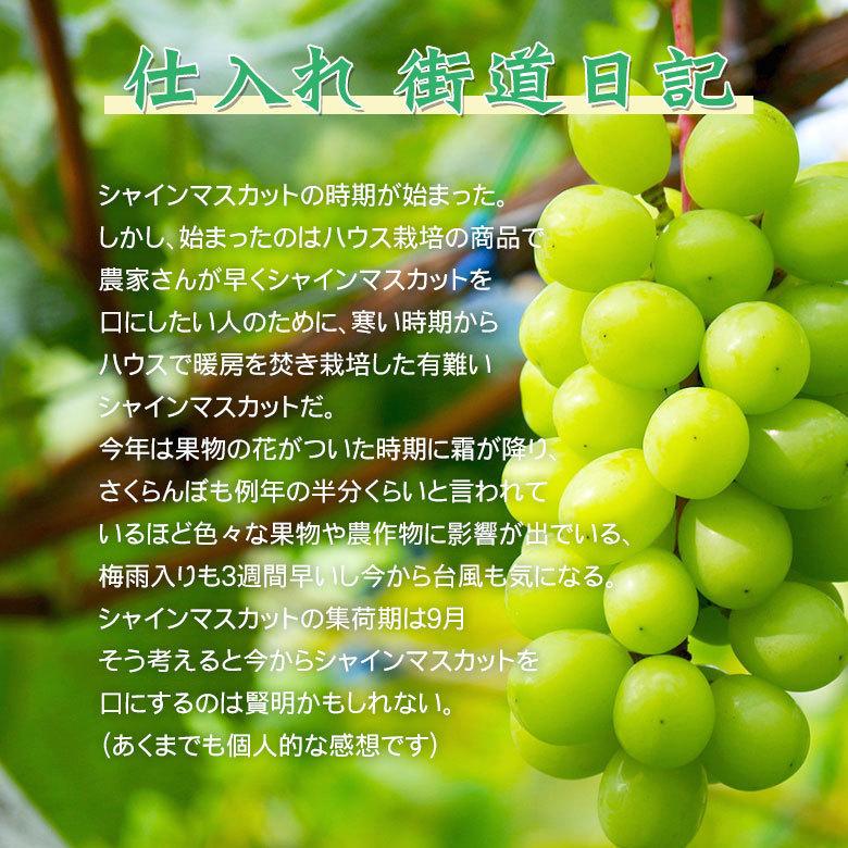 6月中旬から順次ご発送 送料無料 地域厳選 シャインマスカット 訳アリ 4房 1.2kg 以上 ハウス栽培 山梨県 岡山県 長野県 香川県 ご家庭用 マスカット ぶどう_7