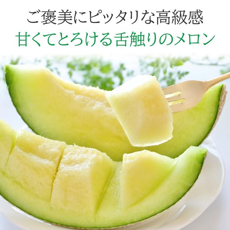 肥後グリーンメロン1️⃣ 肥後グリーンメロン 1玉入 合計2kg以上 | 熊本県八代市