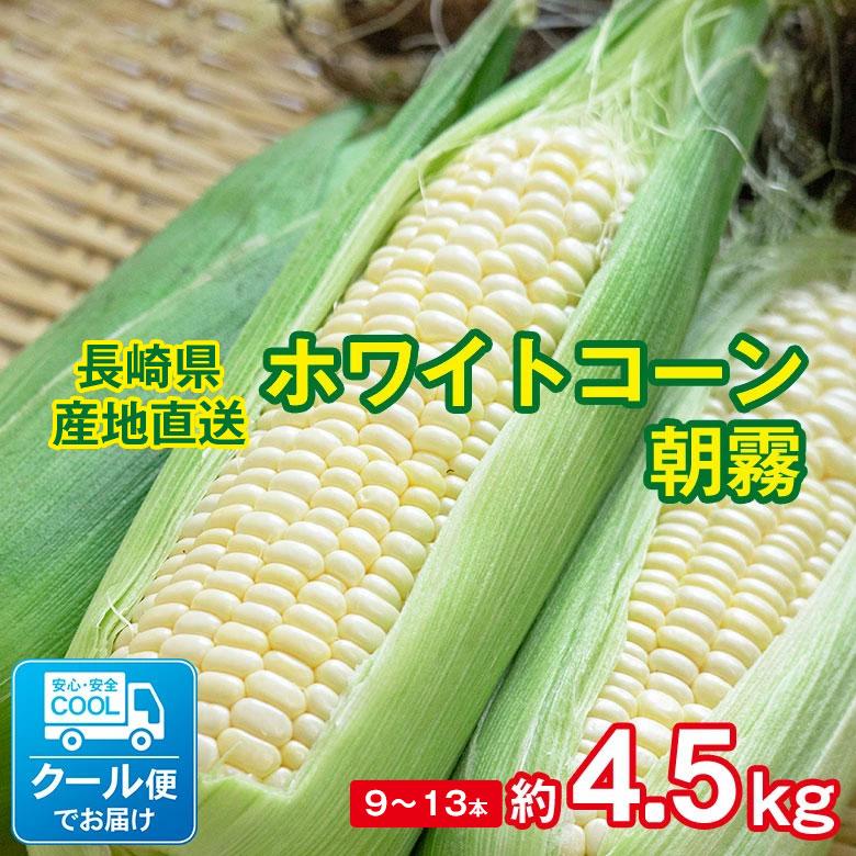 輸入 送料無料 とうころこし ホワイトコーン 朝霧 長崎県産 長崎 トウキビ とうもろこし コーン 約 4 5kg 11 15本 サイズ混合 産地直送 野菜