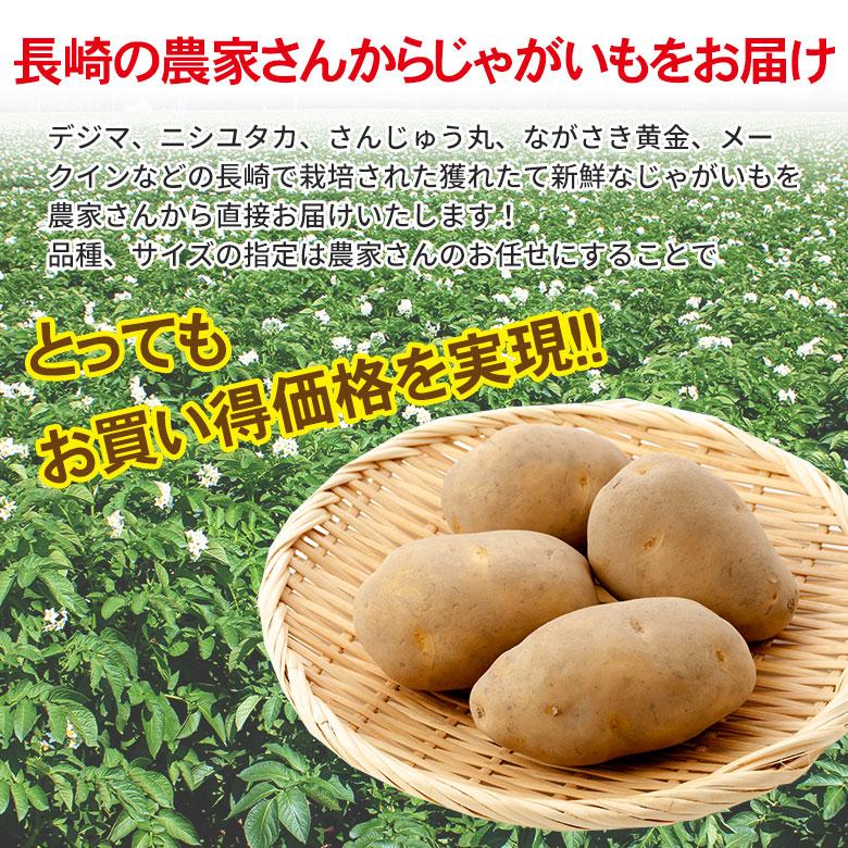 送料無料 訳あり 産地直送 長崎県産 じゃがいも Sサイズ 約 5kg 馬鈴薯 