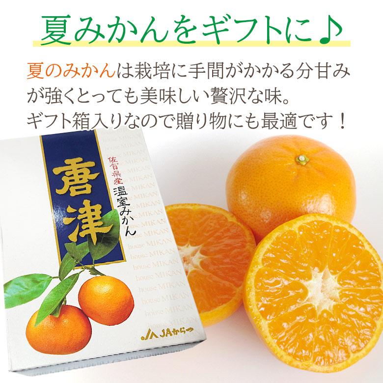 送料無料 秀品 贈答用 佐賀県産 唐津みかん ハウスみかん 佐賀みかん 温州みかん 1kg 化粧箱 ギフト箱 ギフトボックス｜fruit27｜05