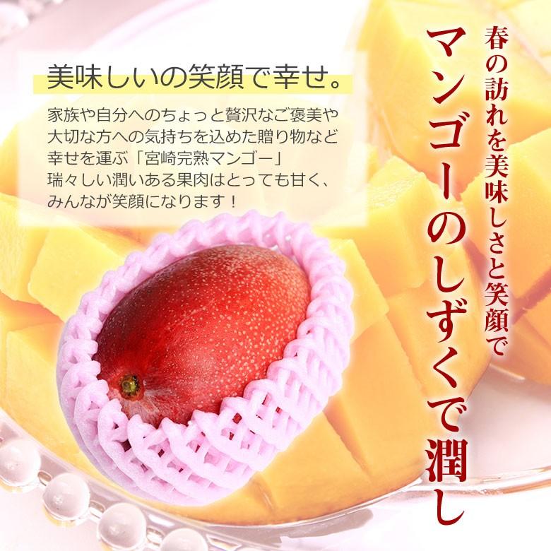送料無料 宮崎マンゴー L 2玉 完熟マンゴー マンゴー 大玉 国産 国産