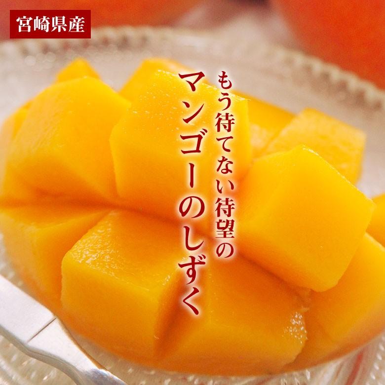 宮崎完熟マンゴー 宮崎マンゴー 完熟マンゴー マンゴー 大玉 2L 化粧