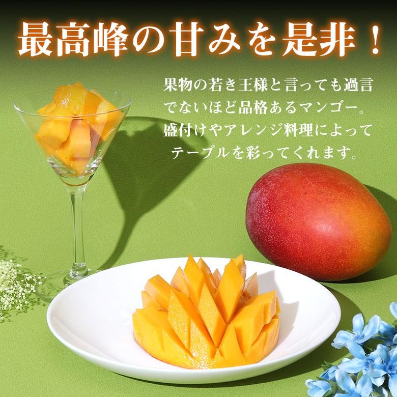 宮崎完熟マンゴー 宮崎マンゴー 完熟マンゴー マンゴー 大玉 2L 化粧
