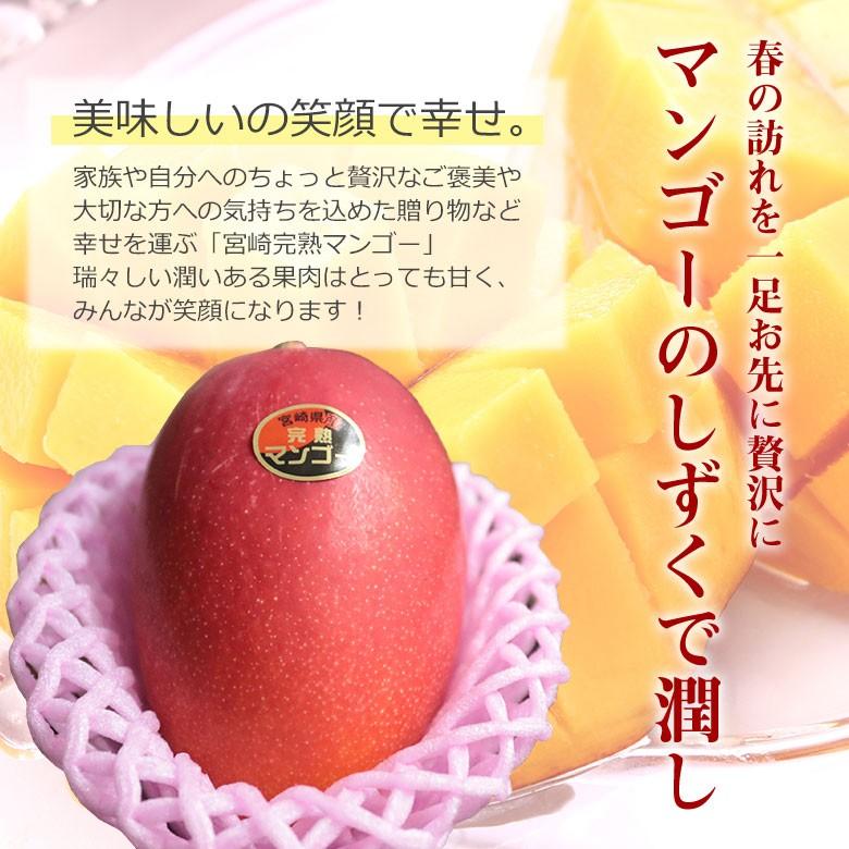 宮崎完熟マンゴー 宮崎マンゴー 完熟マンゴー マンゴー 大玉 2L 化粧