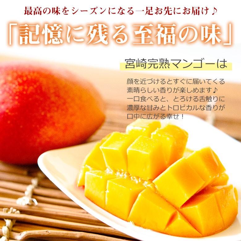 宮崎完熟マンゴー 宮崎マンゴー 完熟マンゴー マンゴー 大玉 3L 化粧