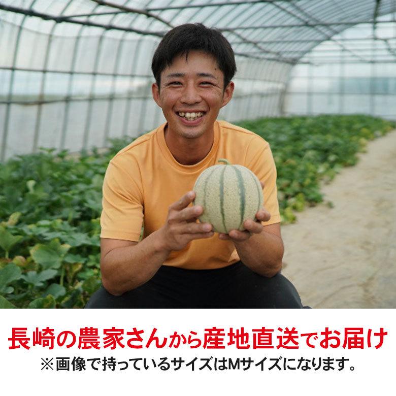 送料無料 赤肉メロン マルセイユメロン メロン 島原風香 長崎県 長崎