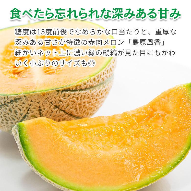 マルセイユメロン島原風香4Lを4玉 赤肉メロン