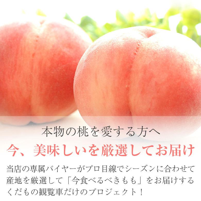 送料無料 「潤い」桃ギフト 桃 3玉 ギフト用 贈答品 秀品 1玉 300g