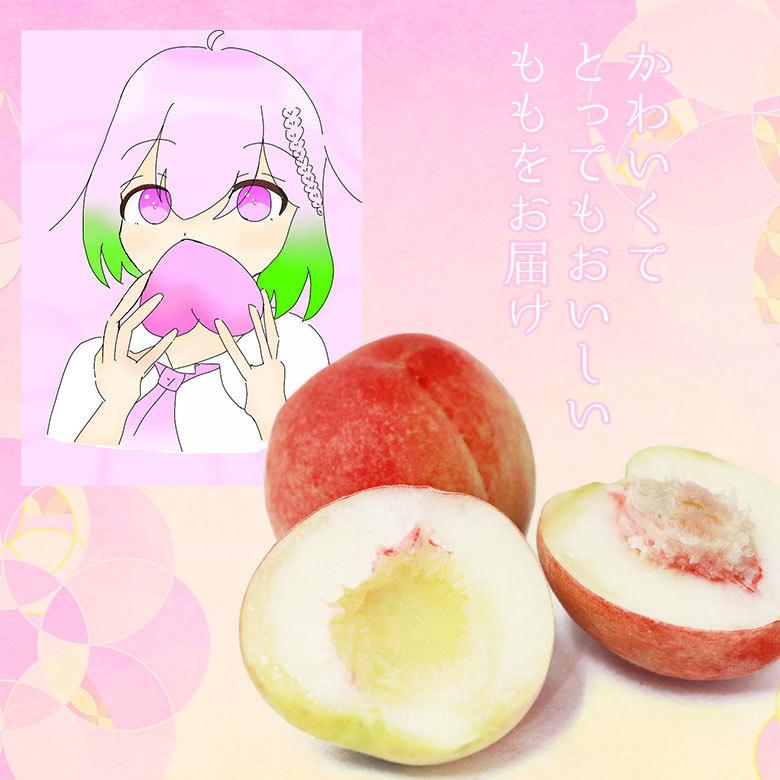 送料無料 「潤い」桃ギフト 桃 3玉 ギフト用 贈答品 秀品 1玉 300g