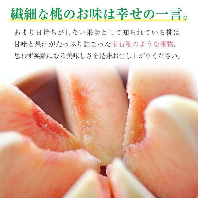送料無料 秀品 福島県産 福島 ミスピーチ 白桃 桃 1.2kg 4〜6玉