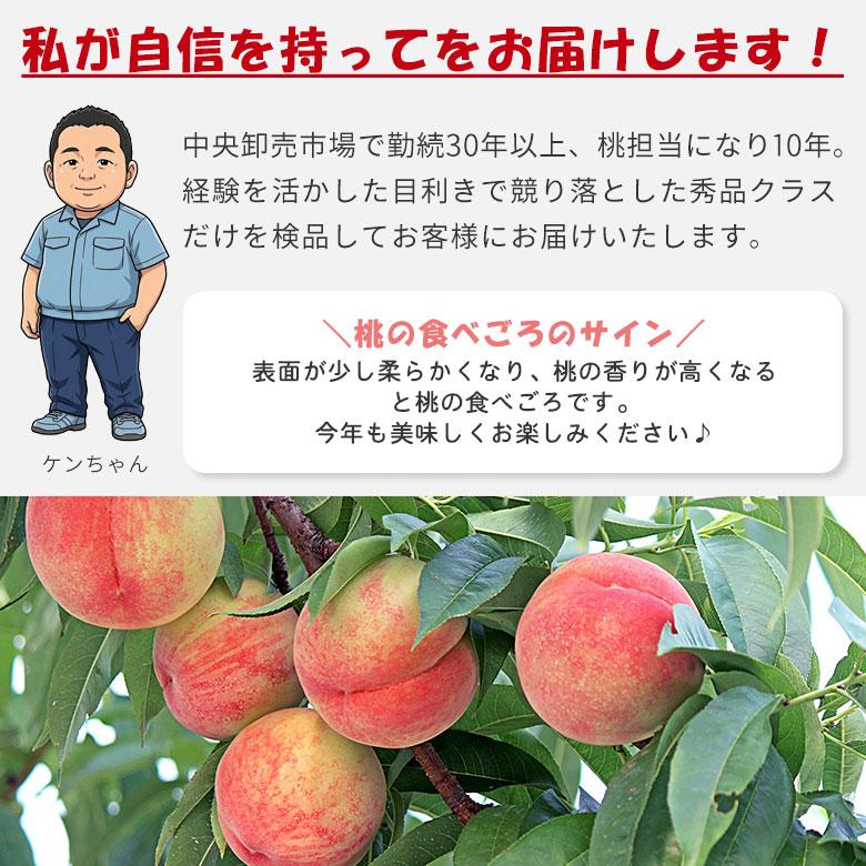 送料無料 秀品 福島県産 福島 ミスピーチ 白桃 桃 1.2kg 4〜6玉 ご家庭