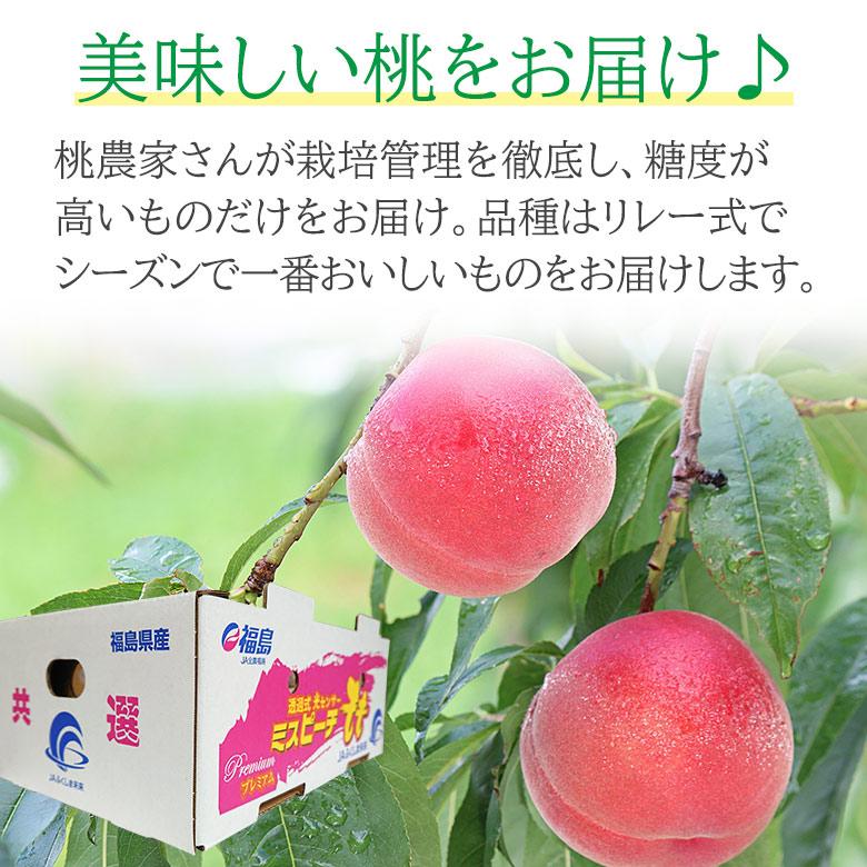 新鮮な白桃 10kg 64251e40b2141a3bf6d549cf40d0ab